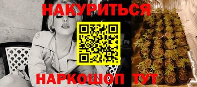 шишки Кинель