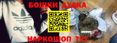 прущие крисы Кингисепп